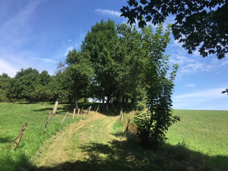 Bild Nr. 2