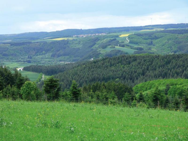 Bild Nr. 2
