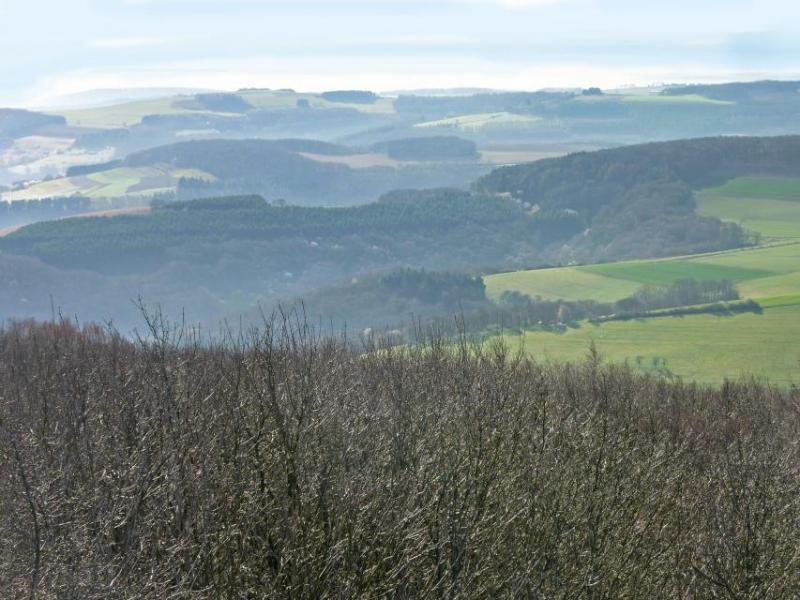 Bild Nr. 2