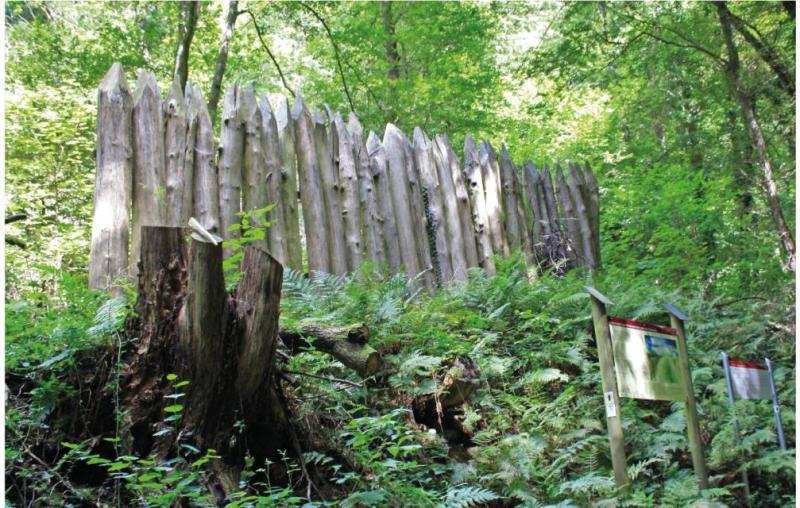 Bild Nr. 2