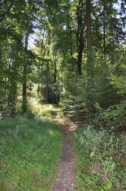 Bild Nr. 2