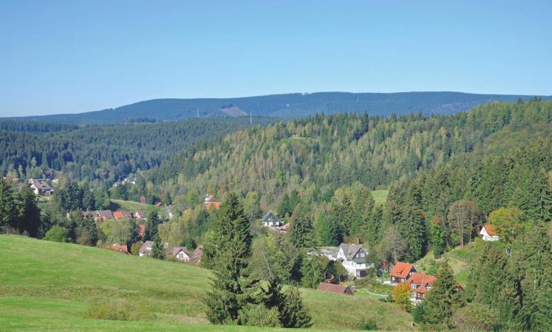 Bild Nr. 2
