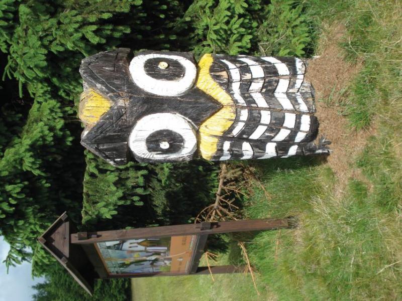 Bild Nr. 3