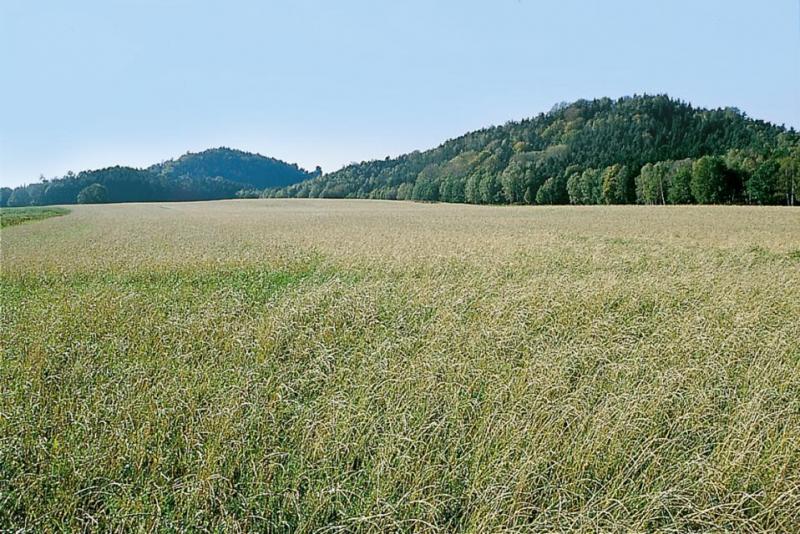 Bild Nr. 2