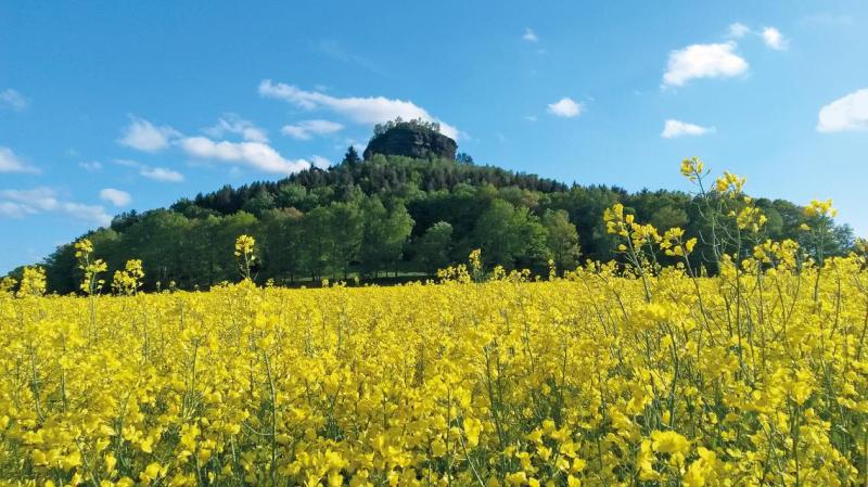 Bild Nr. 2