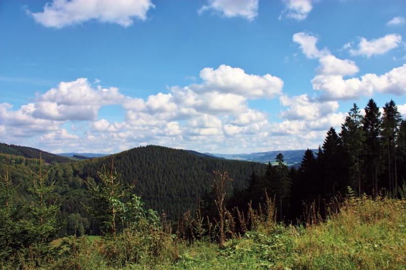 Bild Nr. 2