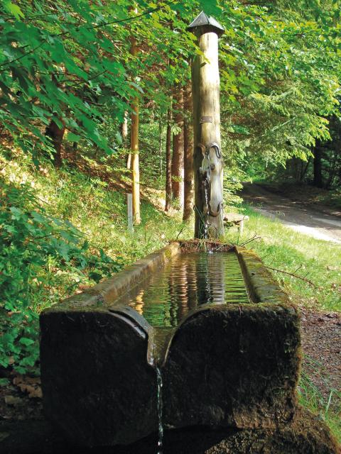 Bild Nr. 2