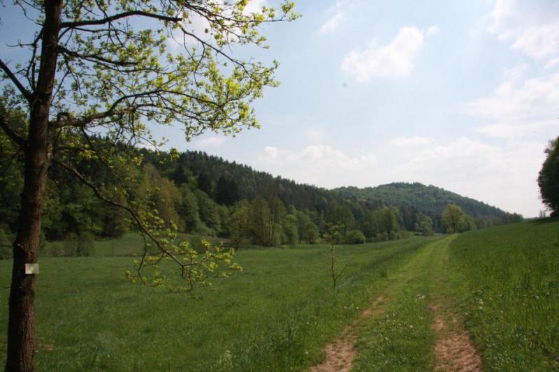 Bild Nr. 3
