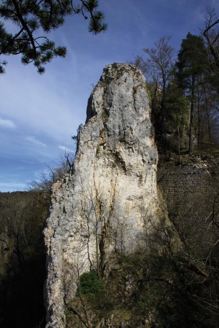 Bild Nr. 2