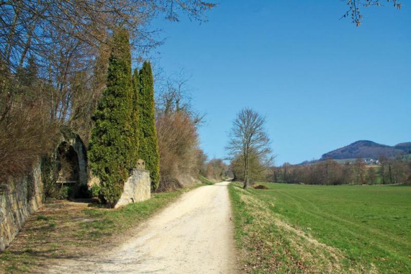 Bild Nr. 3