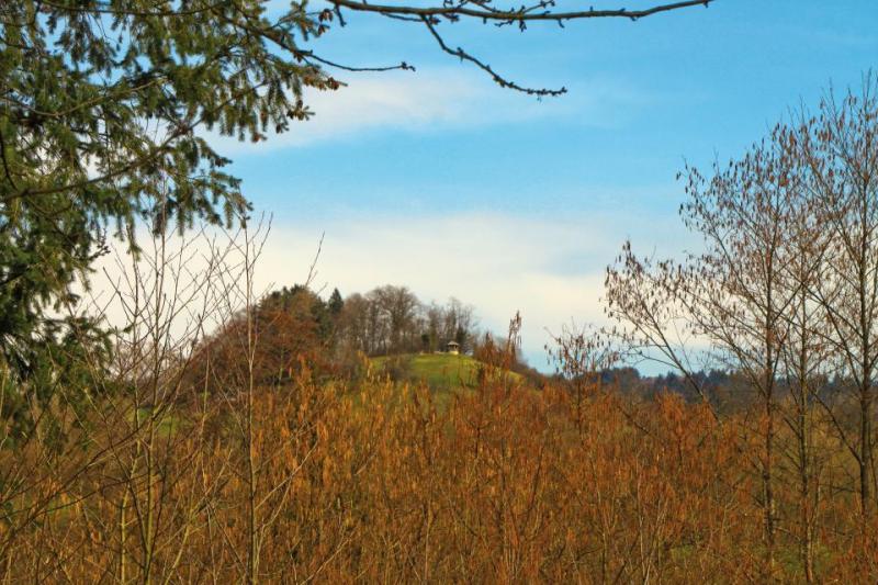 Bild Nr. 3
