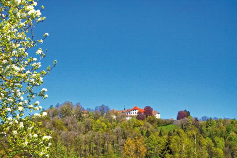 Bild Nr. 2