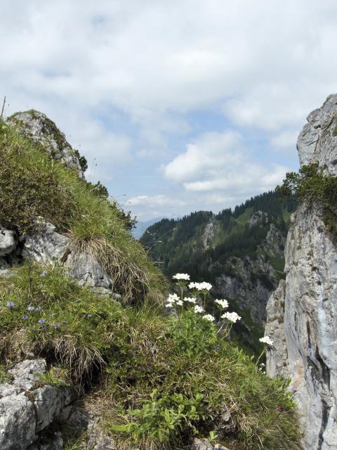 Bild Nr. 2