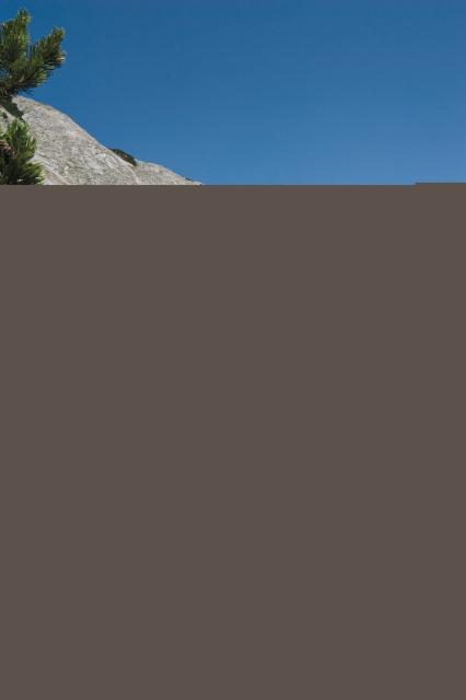 Bild Nr. 3