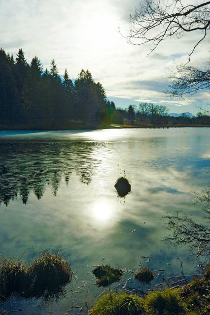 Bild Nr. 2