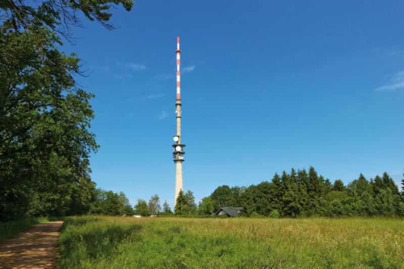Bild Nr. 2