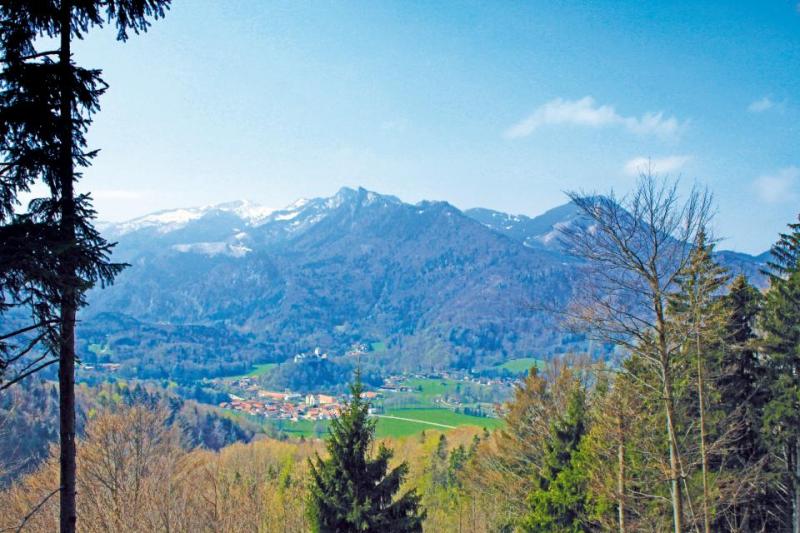 Bild Nr. 2