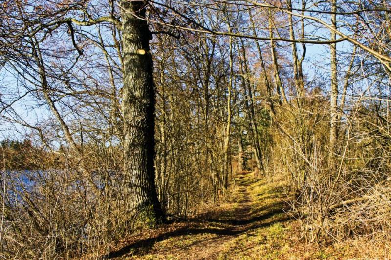 Bild Nr. 2
