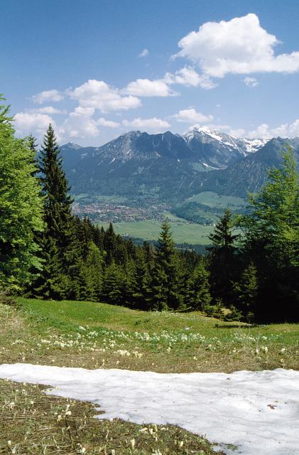 Bild Nr. 2