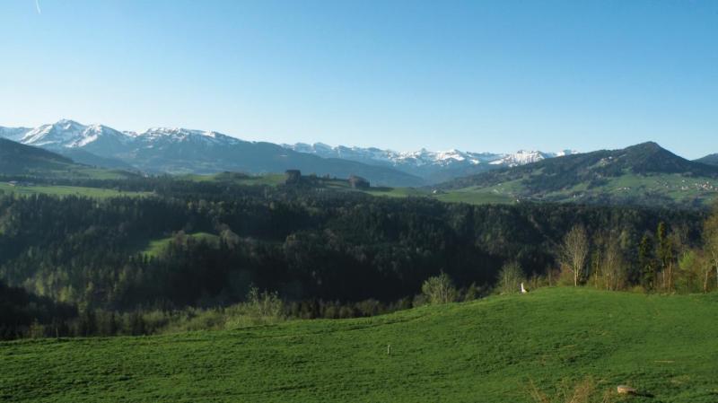 Bild Nr. 3