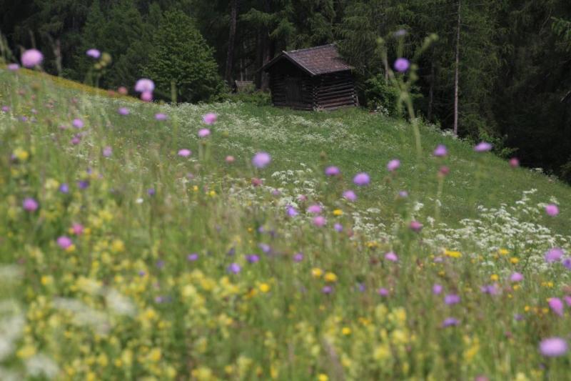 Bild Nr. 4