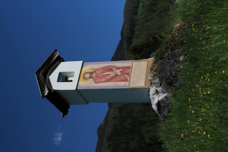 Bild Nr. 6