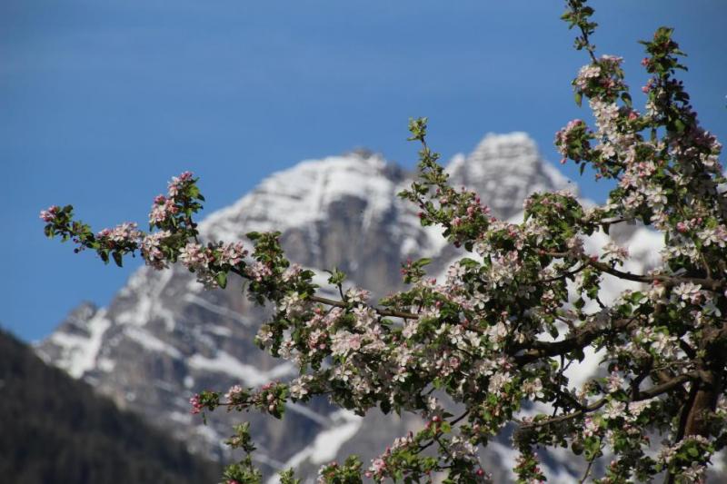 Bild Nr. 3