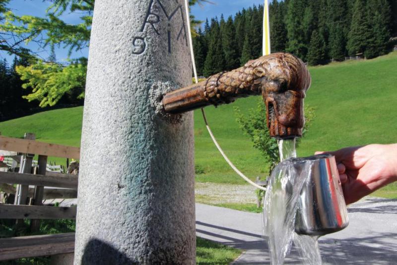 Bild Nr. 11