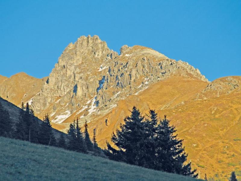 Bild Nr. 4