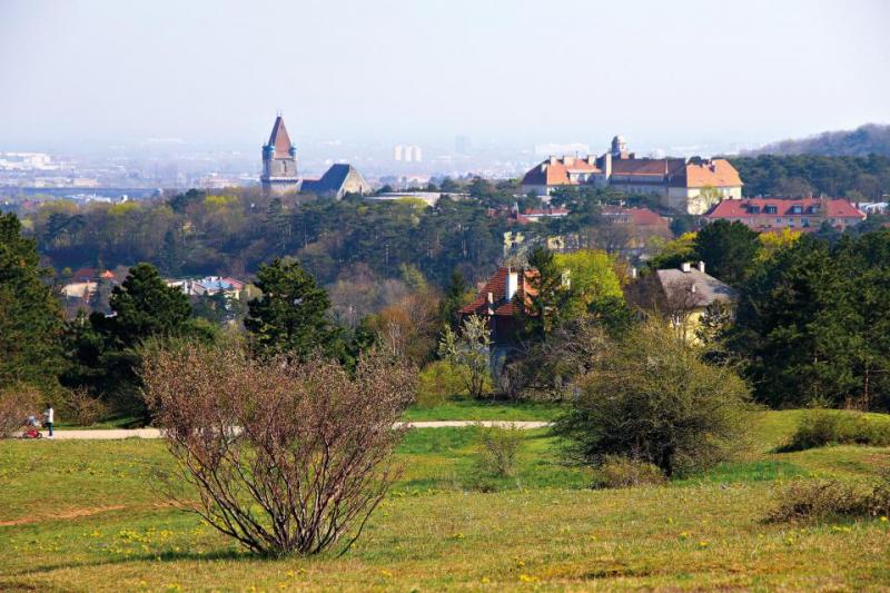 Bild Nr. 2