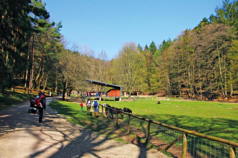 Bild Nr. 2