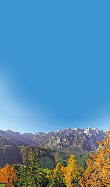 Bild Nr. 3