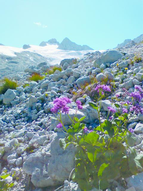 Bild Nr. 2