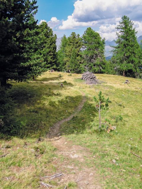Bild Nr. 2