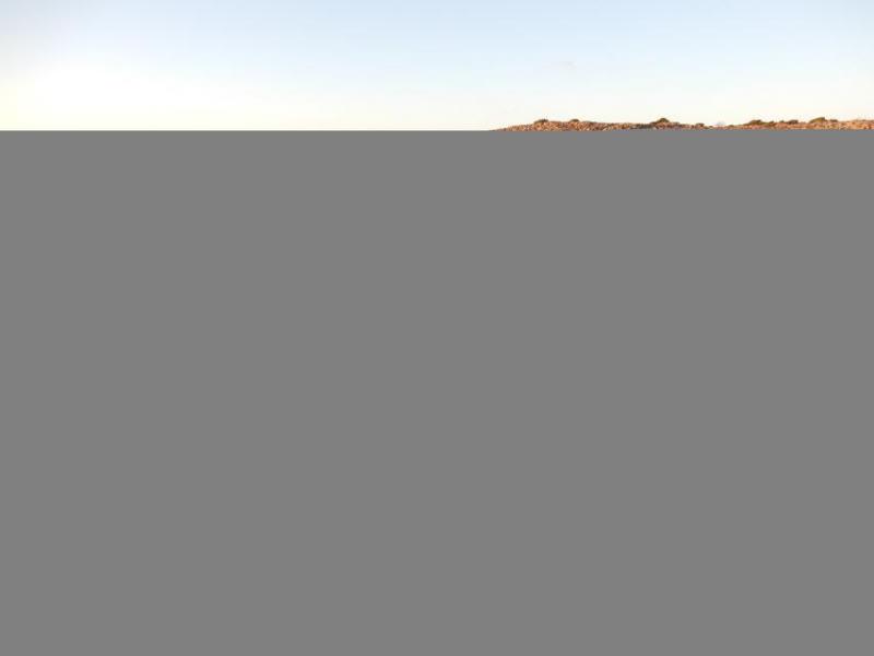 Bild Nr. 7