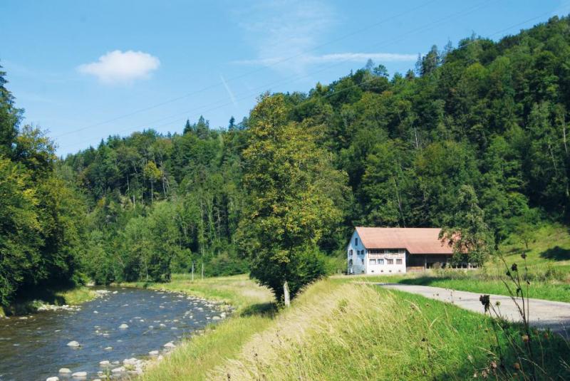 Bild Nr. 3