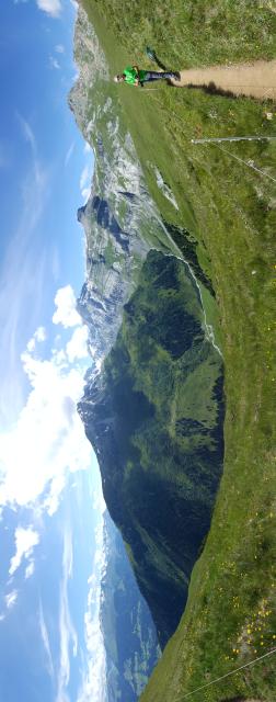 Bild Nr. 2