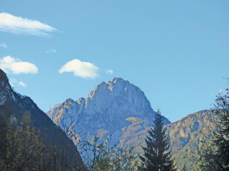 Bild Nr. 2