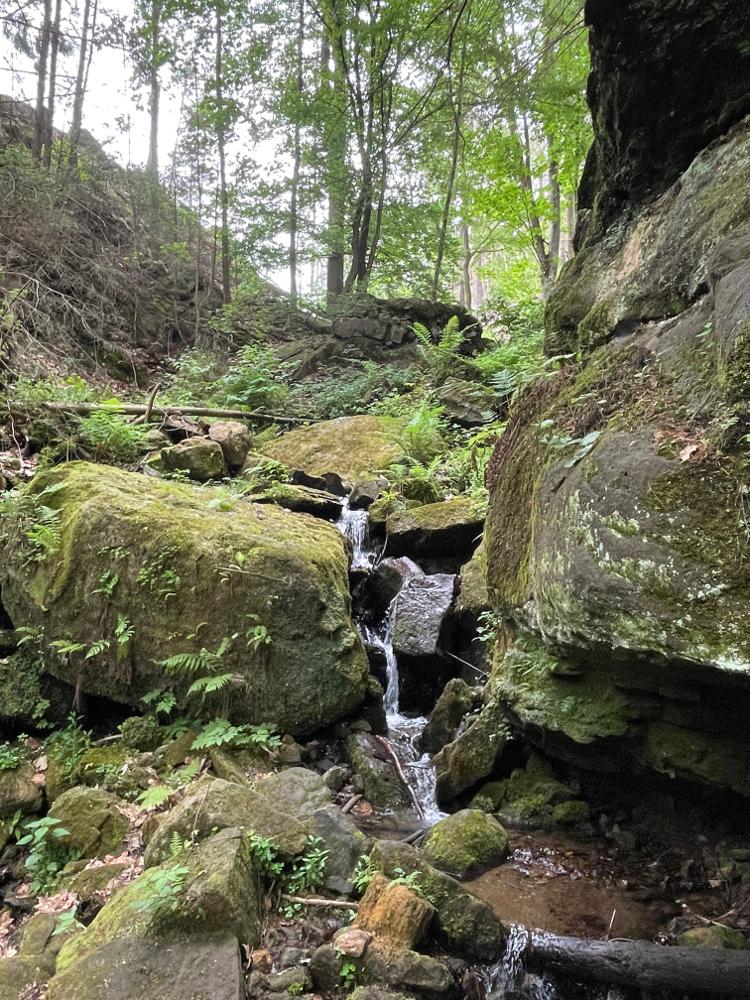 Von Altendorf auf die Hohe Liebe