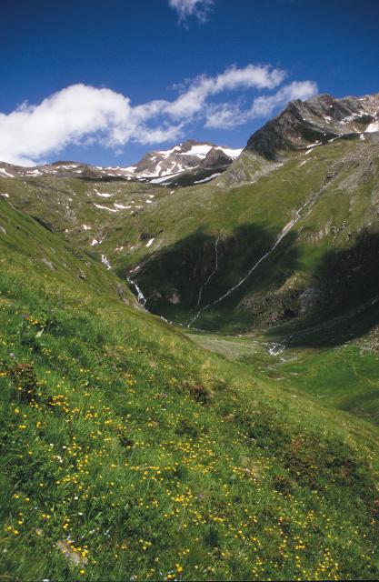 Neue Sajathütte • 2600 m